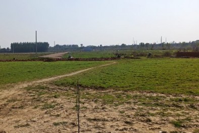 Plot For Sale
